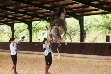 Events at Zagaleta