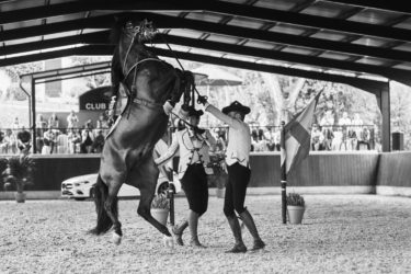 Events at Zagaleta