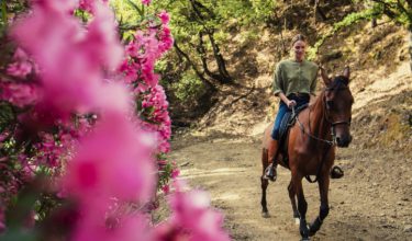 Senderismo y paseos a caballo