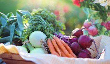 Principales tendencias que marcan la diferencia en la producción alimentaria española