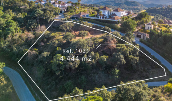Homesite 1031