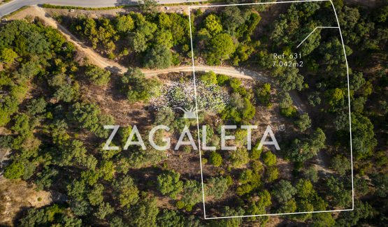 Homesite 631