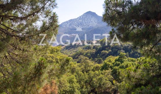 Homesite 629