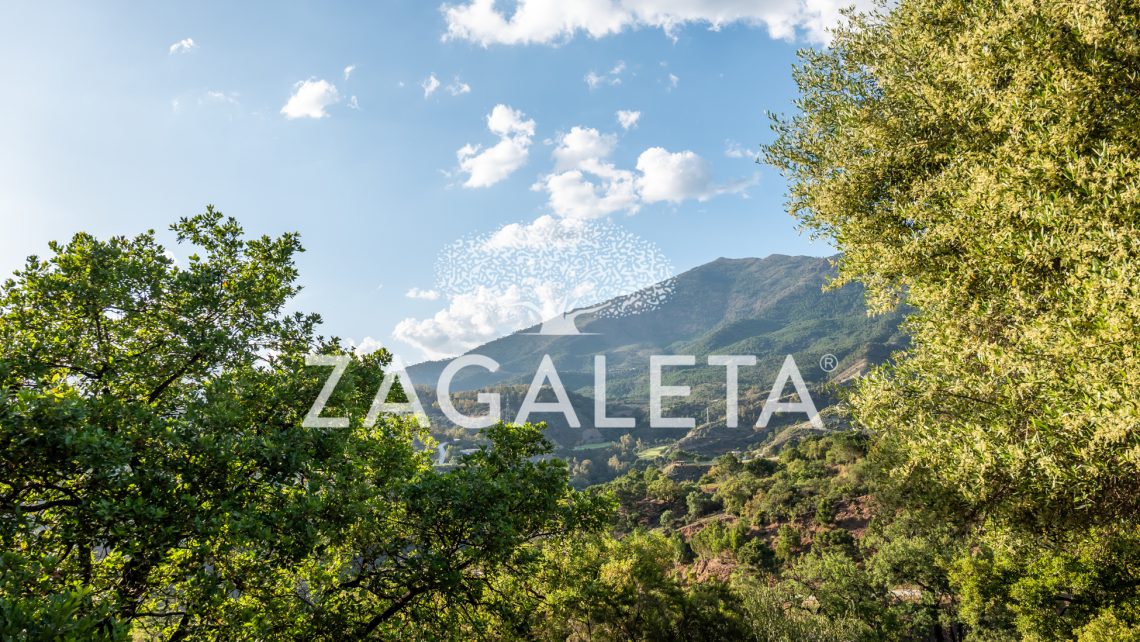 Homesite 821