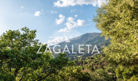 Homesite 821