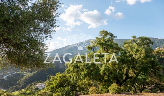 Homesite 821