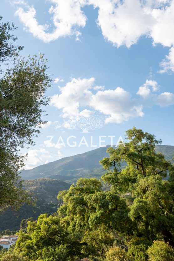 Homesite 821