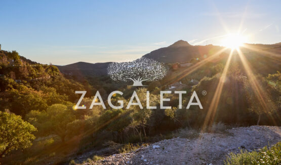 Homesite 623