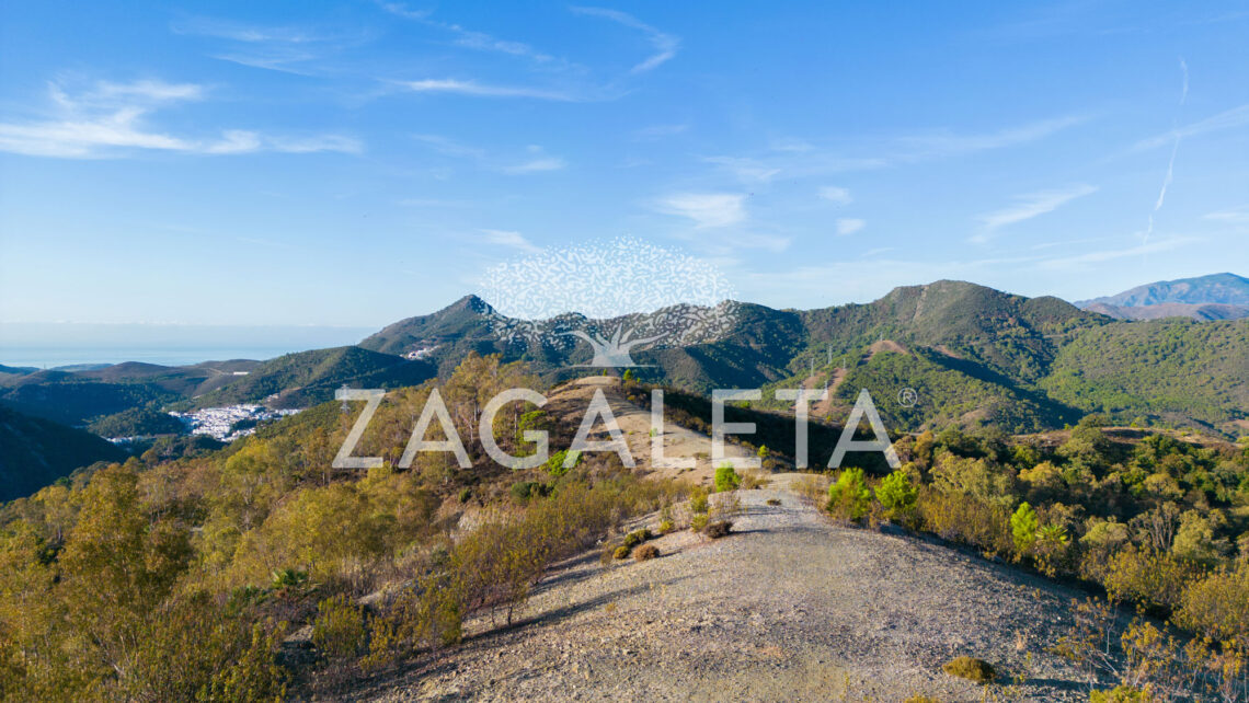 Parcela 1153