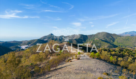 Parcela 1153