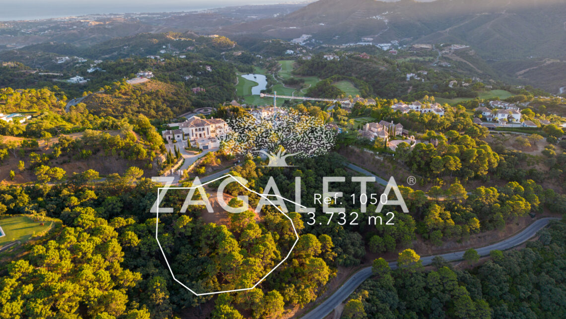 Homesite 1050