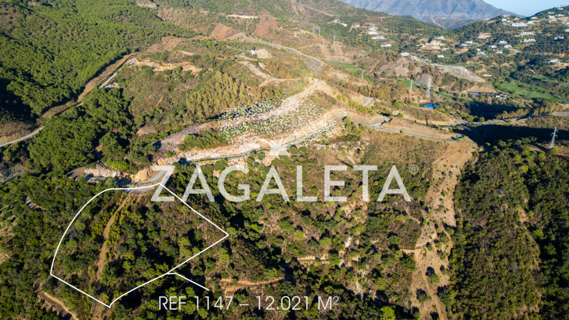 Homesite 1147