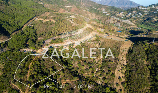 Homesite 1147