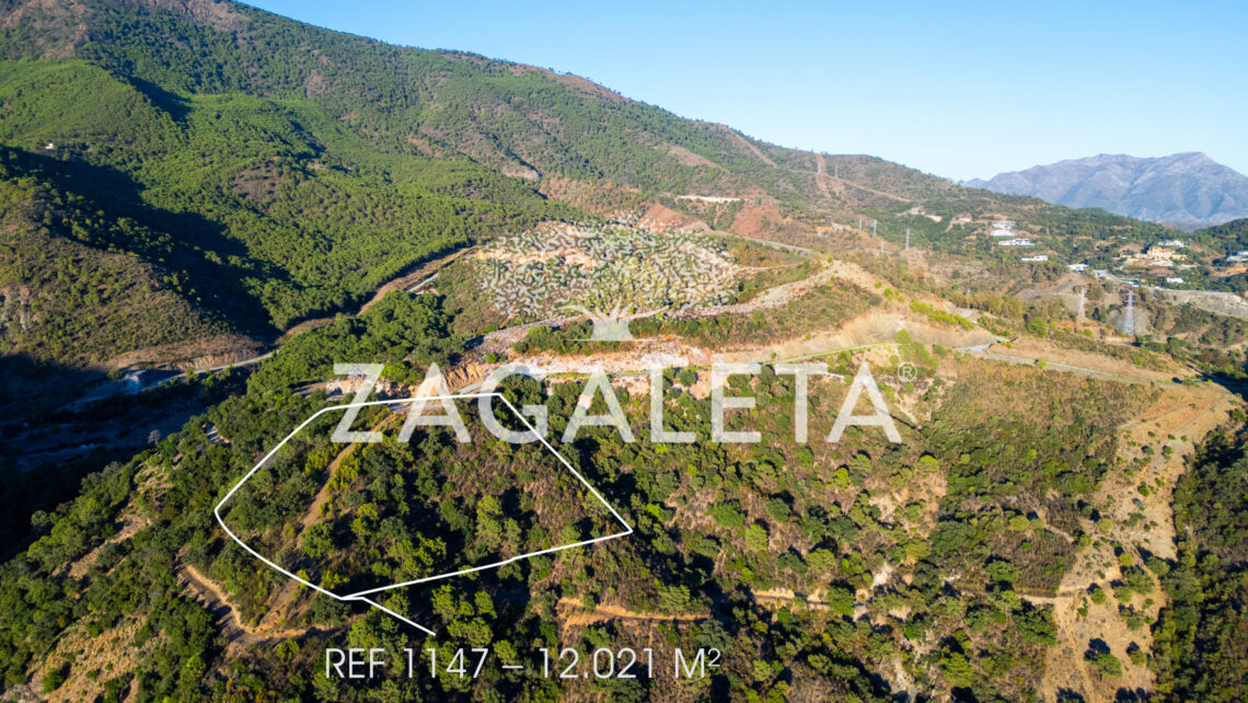 Homesite 1147